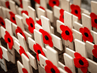 Remembrance Day: 'We owe an incalculable debt of gratitude'