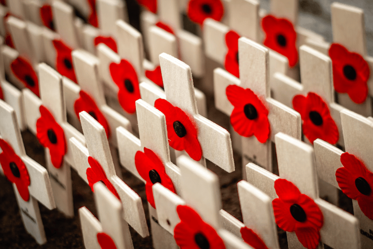 Remembrance Day stock image