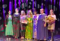 Volunteering stars sparkle at awards