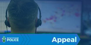 Chudleigh police seek owner of injured mastiff