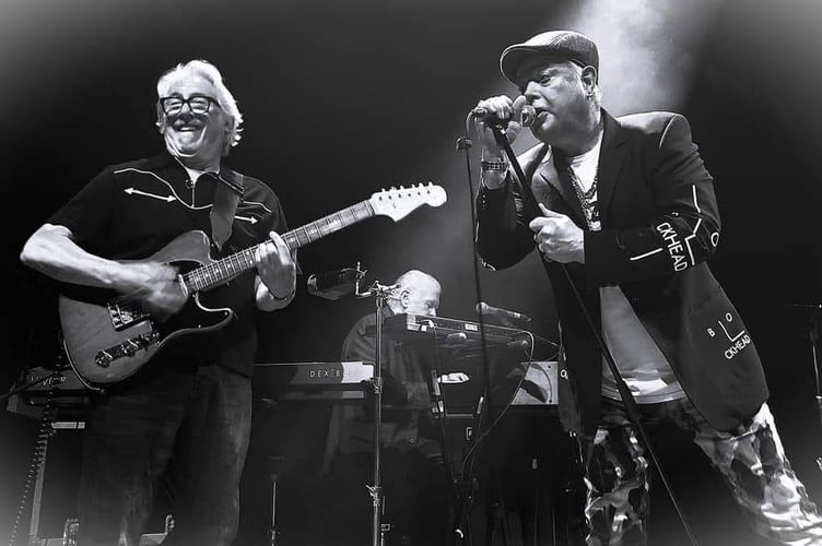 Reasons to be cheerful? Ask The Blockheads