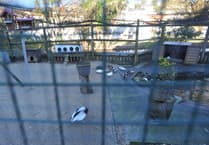 Flu-hit aviary shut for 12 months