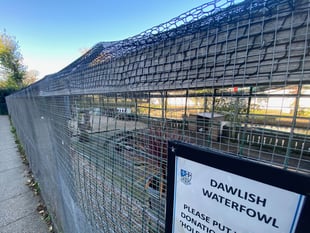 Appeal launched to help town recover from waterfowl cull