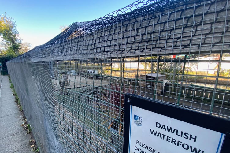 Avian flu outbreak at Dawlish. Water fowl aviary at Dawlish