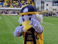Torquay United’s Plainmoor home gets ‘community asset’ status