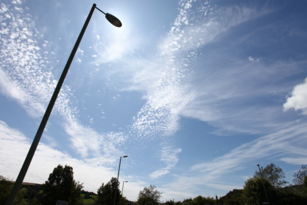 New street lights will save Bay millions
