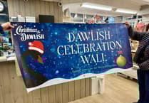 Dawlish Christmas Baubles for Celebration