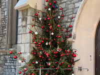 Teignmouth memorial tree brings festive comfort