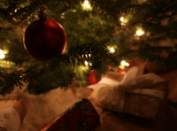 Christmas burglaries: The fact and figures from 2020 to the present 