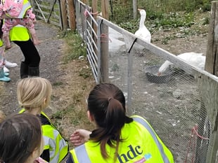 Nursery children explore farming 
