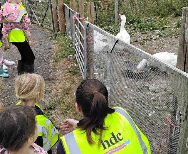 Nursery children explore farming 
