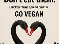 PETA's Dawlish billboard plan