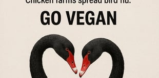 PETA's Dawlish billboard plan