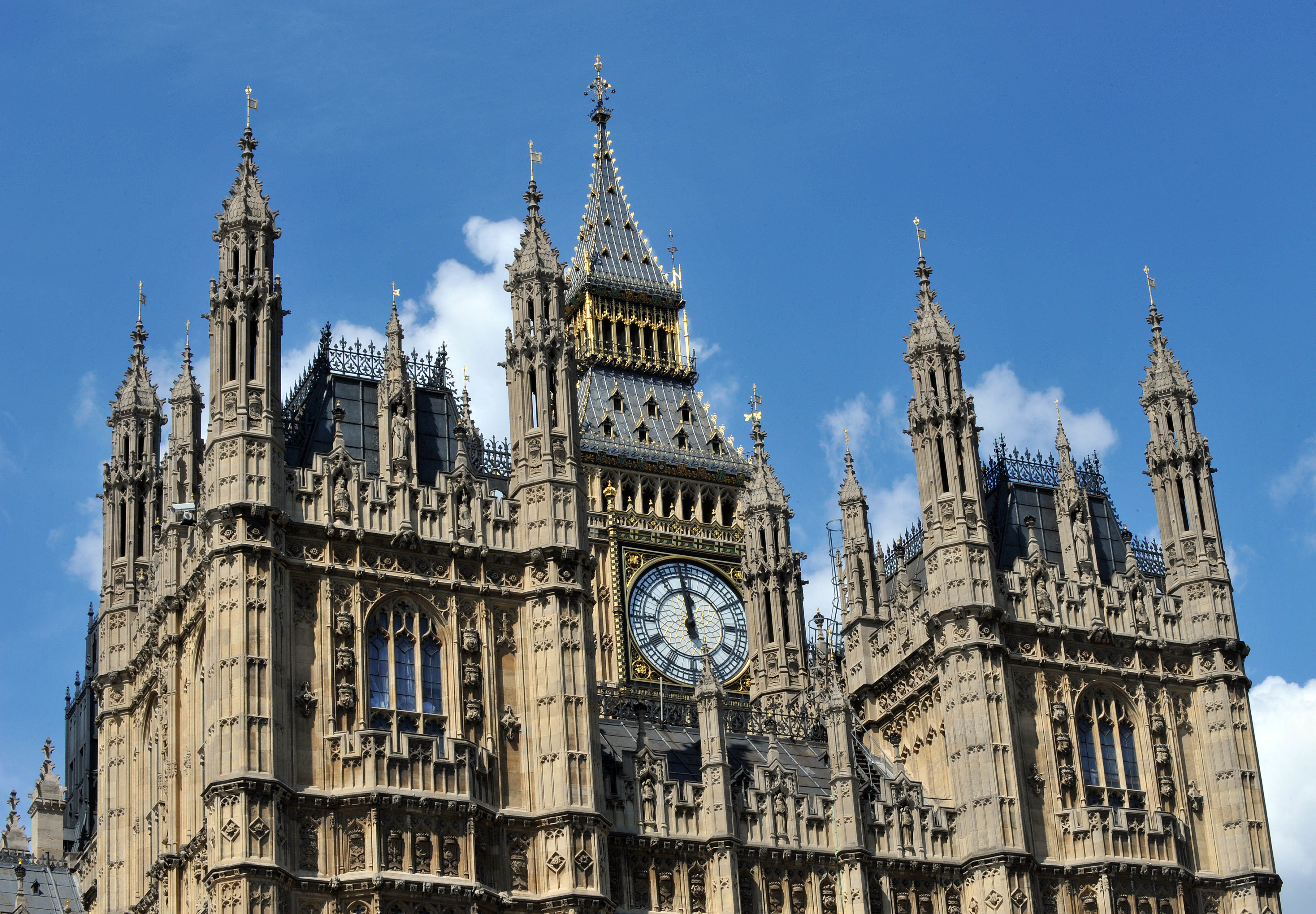 Central Devon's top petitions this week