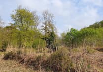 Developers commitment over ‘priceless’ Newton Abbot nature site