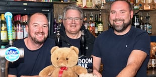 Pub ensures HITS toy appeal continues