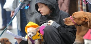 WATCH: Bark! The Herald Angels Sing