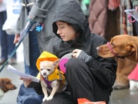 WATCH: Bark! The Herald Angels Sing