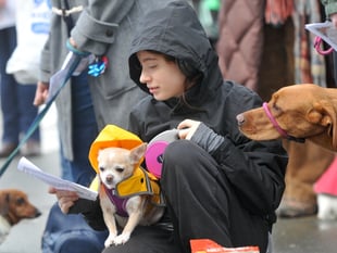 WATCH: Bark! The Herald Angels Sing