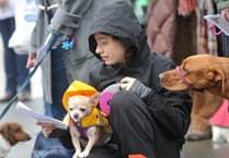 WATCH: Bark! The Herald Angels Sing