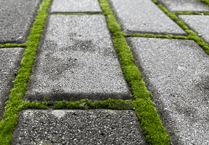 Devon County Council to tackle pavement overgrowth issues