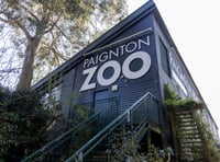 Watch: Paignton Zoo revived under new ownership