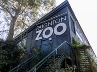 Watch: Paignton Zoo revived under new ownership