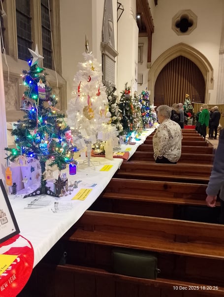 St Gregory's Church, Dawlish annual Christmas TreeFestival. Photo Noreen Goodchild
