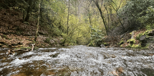 Council considers strengthened action on river protection