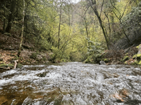 Council considers strengthened action on river protection