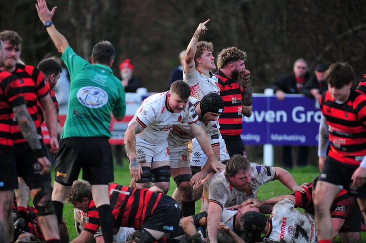 Rugby. Counties 1 Tribute Ale Western West. Newton Abbot versus Penryn, A 36-33 home win for the All Whites