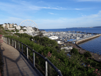 Harbour staff get extra training after ‘spy’ report