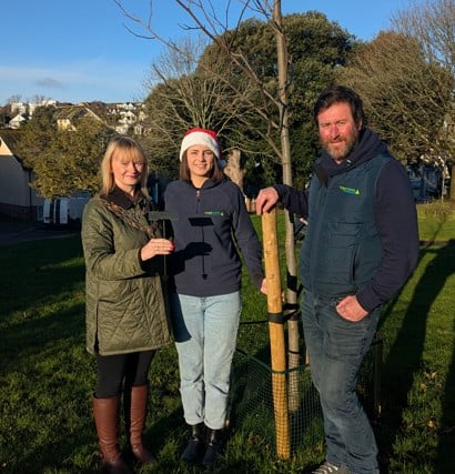 Teignmouth firm celebrates tree decades