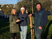 Teignmouth firm celebrates tree decades