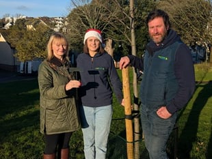 Teignmouth firm celebrates tree decades