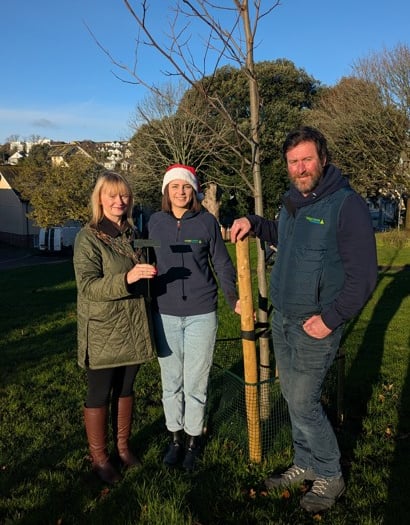 Teignmouth firm celebrates tree decades