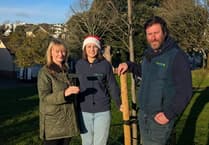Teignmouth firm celebrates tree decades