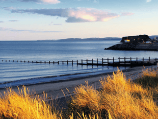 Body found on Teignbridge beach believed to be missing Exeter man