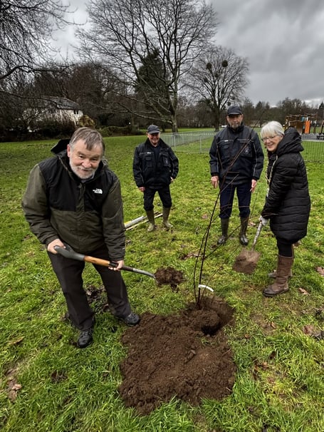 Cherry tree planted at Mill Marsh Park, Bovey Tracey. 