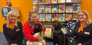 Kennels overwhelmed by donations