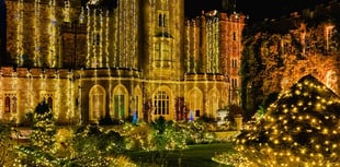 Powderham Castle event shut early by flooding