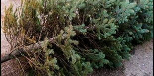 Essential Christmas Recycling Tips