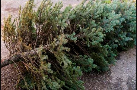 Essential Christmas Recycling Tips