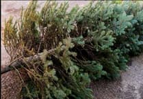 Must-Know Christmas Recycling Tips