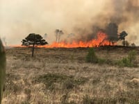 Moorland fire warning