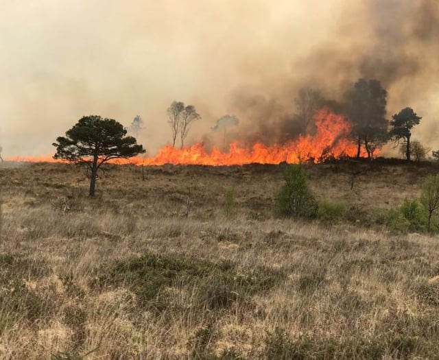 Moorland fire warning