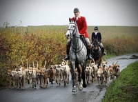 Devon hunts oppose trail hunting ban