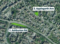 Plans to transform verges into wildflower havens