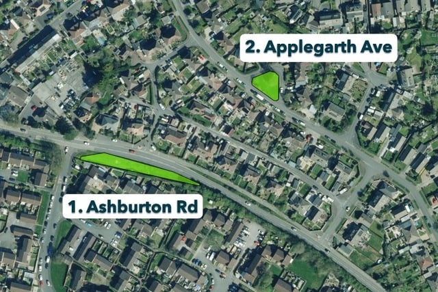 Plans to transform verges into wildflower havens