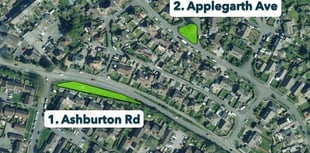 Plans to transform verges into wildflower havens